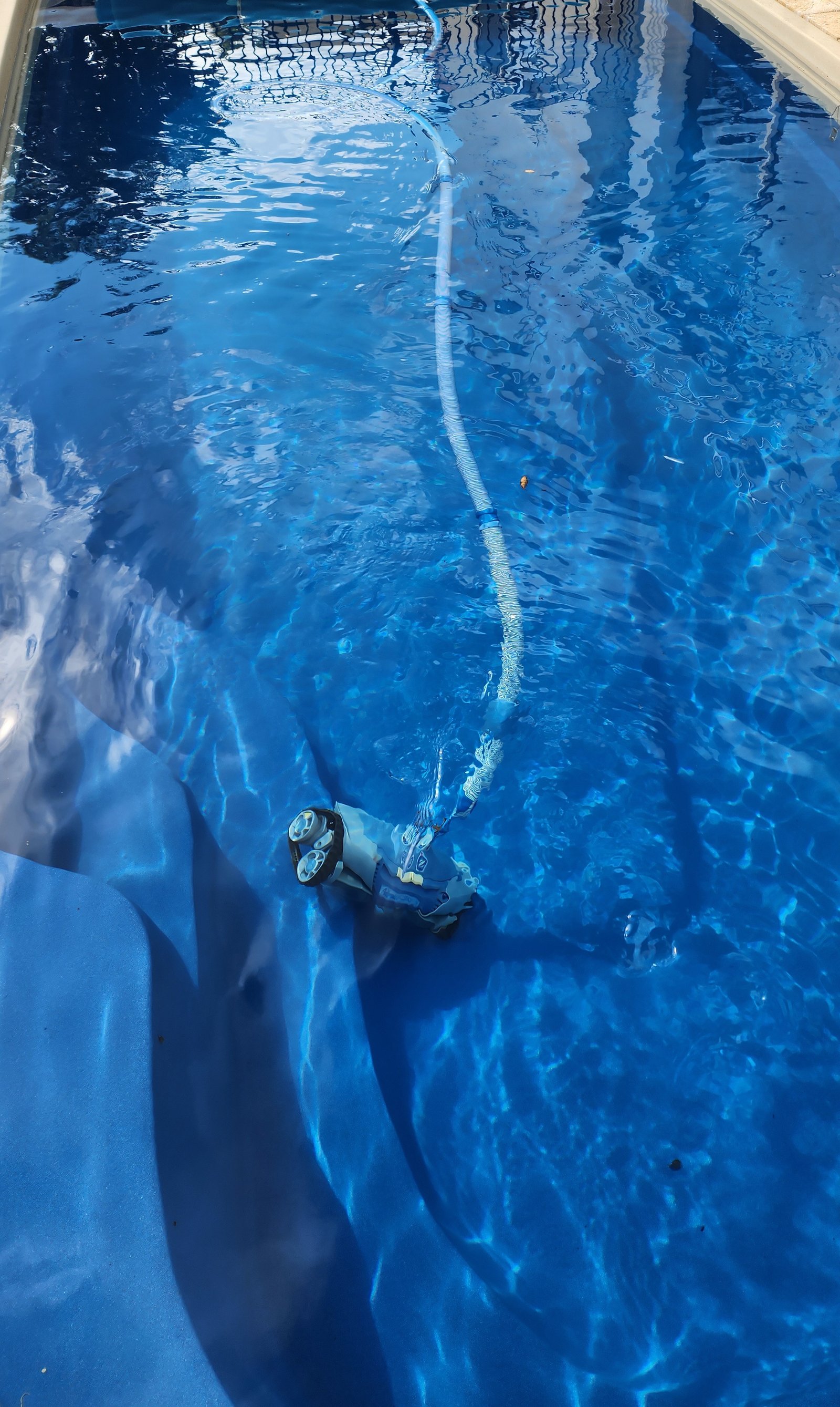 Professional pool cleaning result